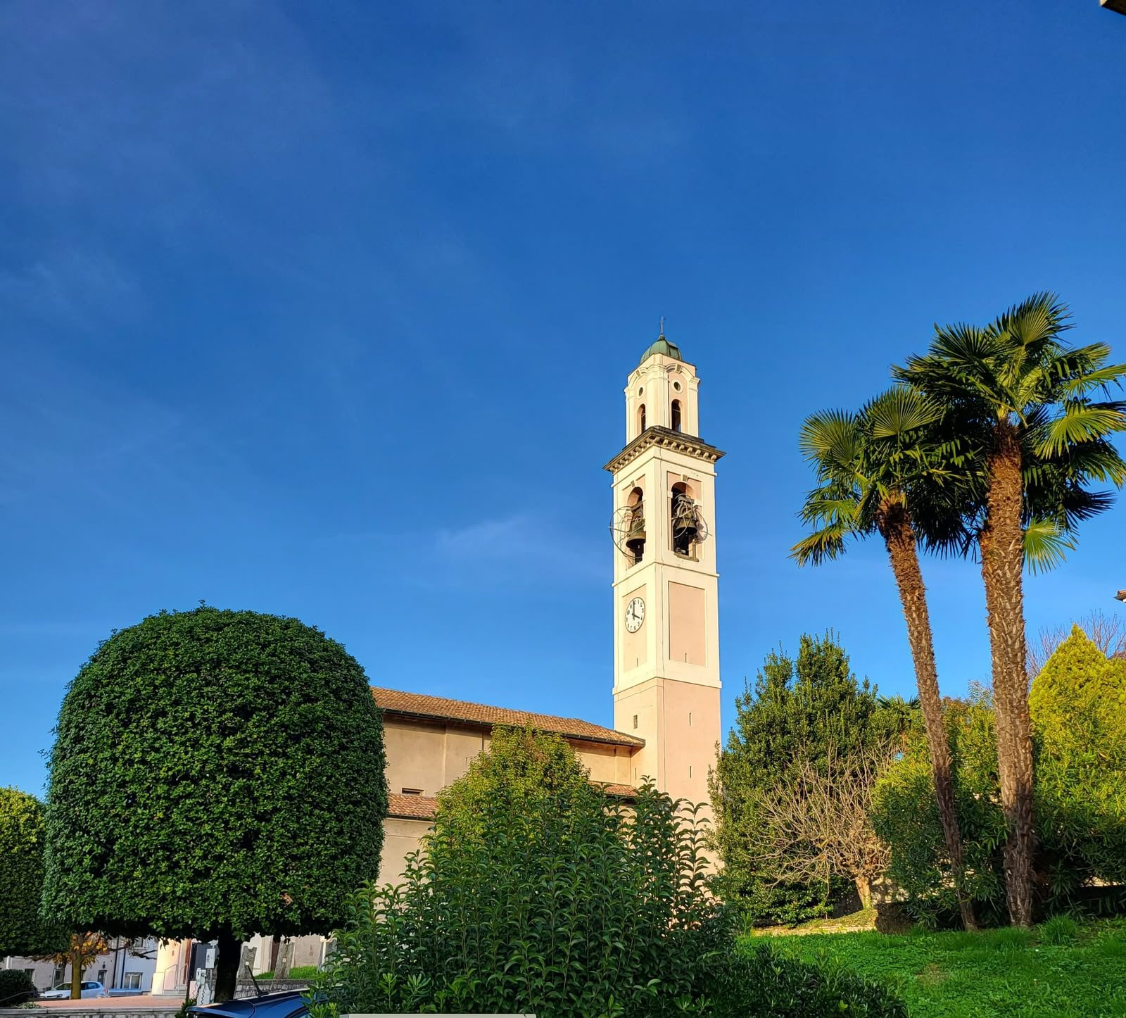 Il campanile della chiesa di Coldrerio fra le palme, contro il cielo blu